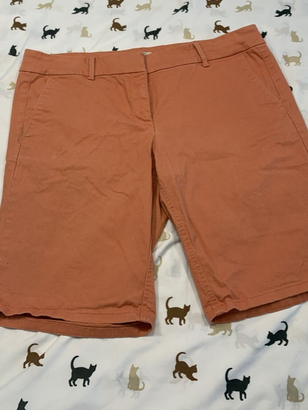 Loft Outlet Bermuda Roll Shorts